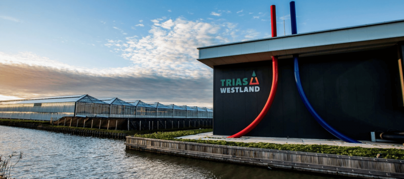 zijkant gebouw Trias Westland